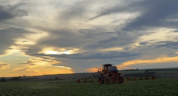 Agro cresce 20,1% e alavanca PIB goiano em 2025